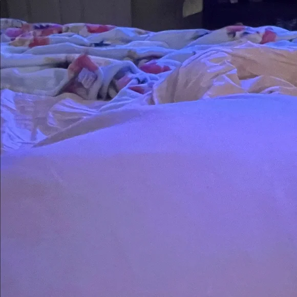 Beaded Bird Accent Pillow - Cream with Gold Beading, perfect for Easter/spring - Picture 3 of 3